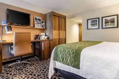 Comfort Inn Raleigh Midtown image 3