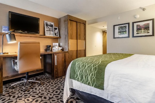Comfort Inn Raleigh Midtown image 7