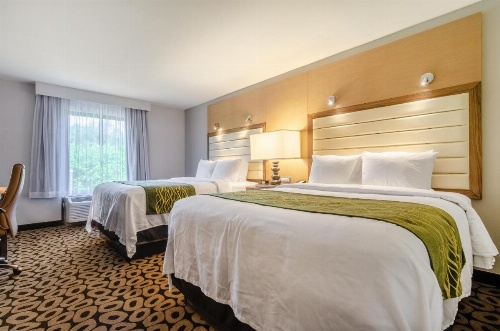 Comfort Inn Raleigh Midtown image 8