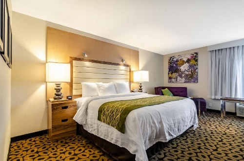 Comfort Inn Raleigh Midtown image 9