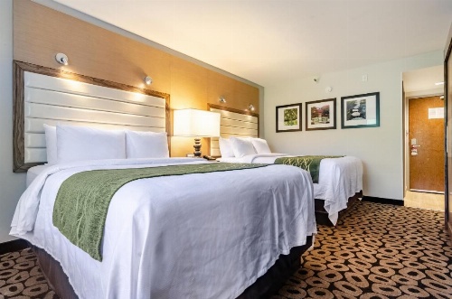 Comfort Inn Raleigh Midtown image 10