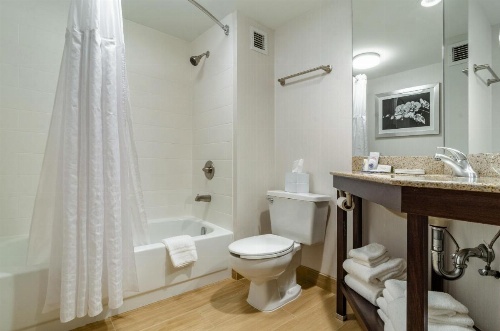 Comfort Inn Raleigh Midtown image 11