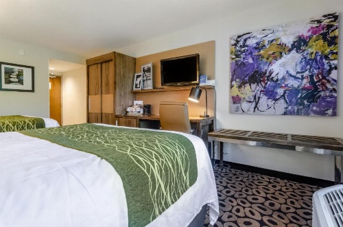 Comfort Inn Raleigh Midtown image 12