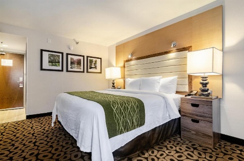 Comfort Inn Raleigh Midtown image 15